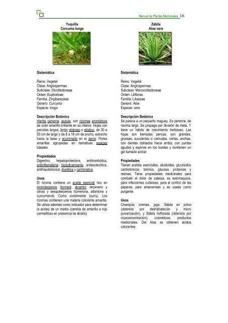 Manual de Plantas Medicinales