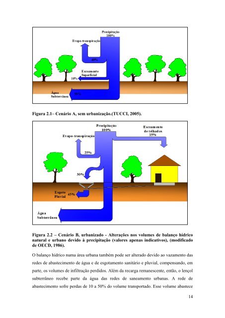 MODELAGEM HIDROLÓGICA CHUVA-VAZÃO E ... - UFRJ