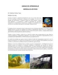 UNIDAD DE APRENDIZAJE HIDRÁULICA DE RIOS - FI-UAEMex