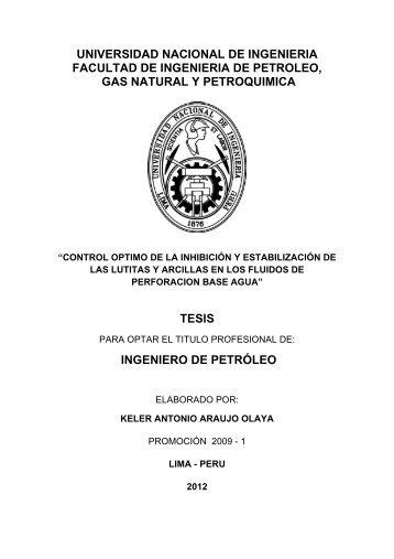 Descargar - Cybertesis Perú - UNI - Universidad Nacional de ...