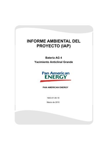 INFORME AMBIENTAL DEL PROYECTO (IAP) Batería ... - Organismos