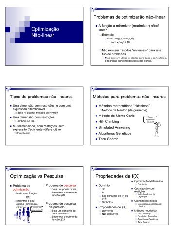 Optimização Não-Linear e Heurísticas