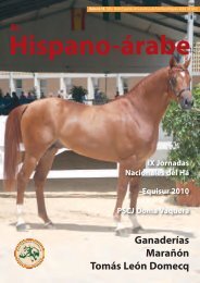 Revista Hispano-árabe - UEGHá