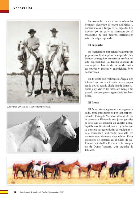 Revista Hispano-árabe - UEGHá