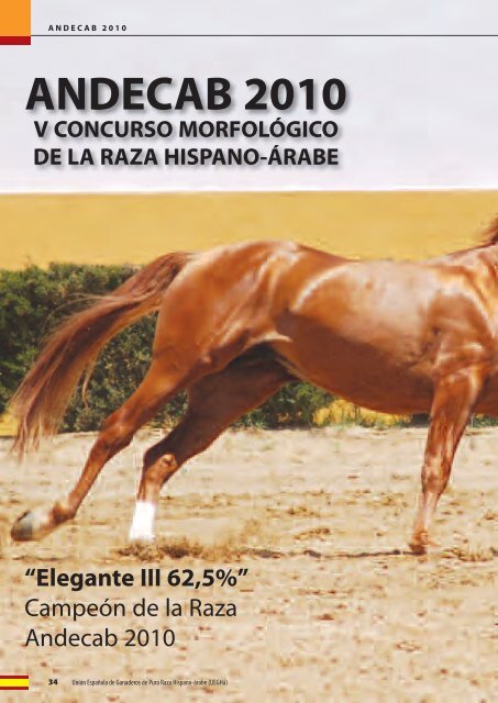 Revista Hispano-árabe - UEGHá