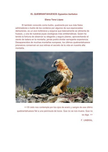 El Quebrantahuesos (Gypaetus barbatus). Elena ... - Animal Record