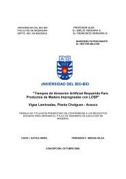 Vigas Laminadas, Planta Cholguan - Arauco - Universidad del Bío-Bío