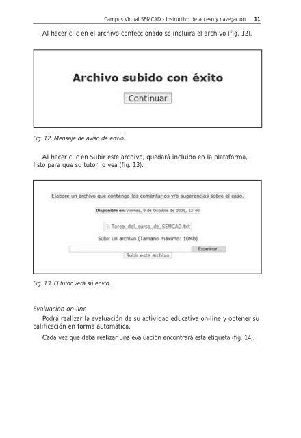 Instructivo de acceso y navegación - SEMCAD Sistema de ...