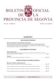 BOPSG15FEBREROok copia:Maquetación 1 - Diputación de Segovia