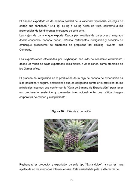 Tesis Dr. Vera TESIS FINAL.pdf - Repositorio de la Universidad ...