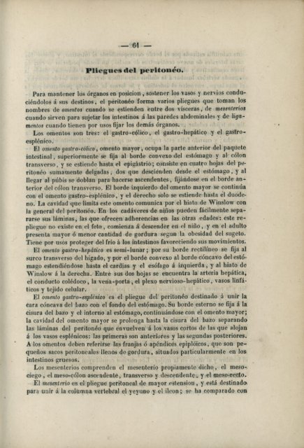 Pliegues del peritonéo.