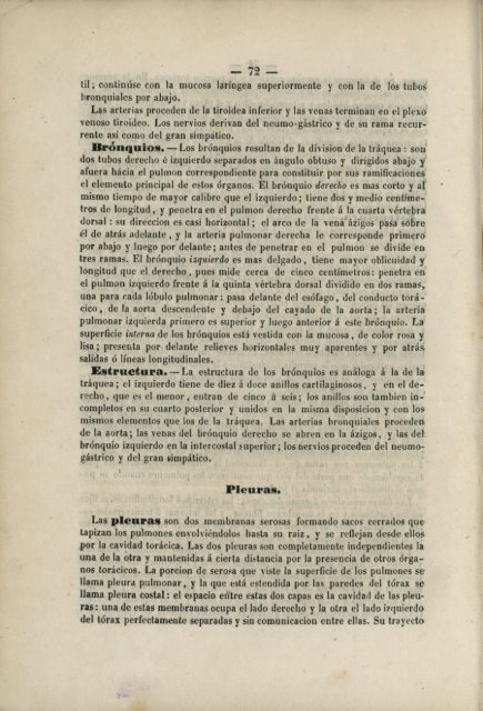 Pliegues del peritonéo.