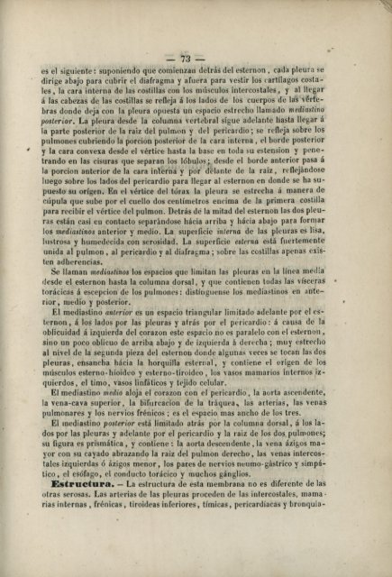 Pliegues del peritonéo.