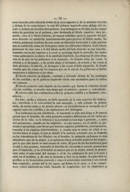 Pliegues del peritonéo.