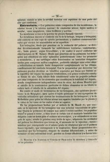 Pliegues del peritonéo.