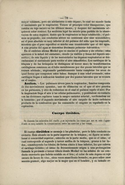 Pliegues del peritonéo.