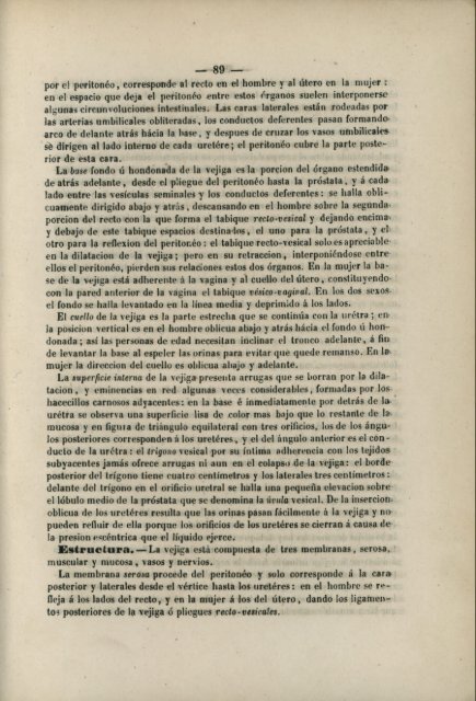 Pliegues del peritonéo.