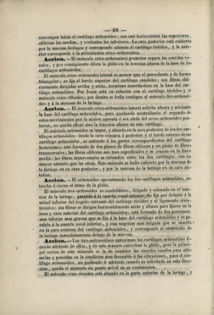 Pliegues del peritonéo.