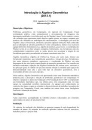 Introdução à Álgebra Geométrica (2013.1) - UFF