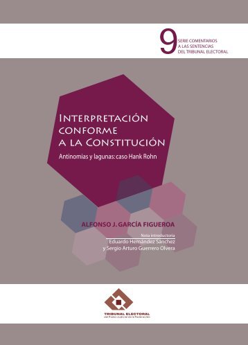 Interpretación conforme a la Constitución - Tribunal Electoral del ...