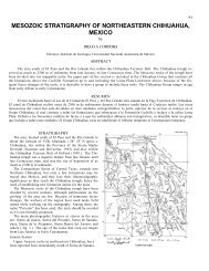 Mesozoic stratigraphy of northeastern Chihuahua, Mexico