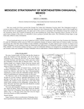 Mesozoic stratigraphy of northeastern Chihuahua, Mexico