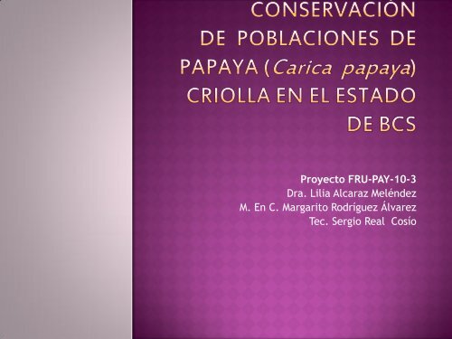 Estudio y conservación de papaya criolla - sinarefi