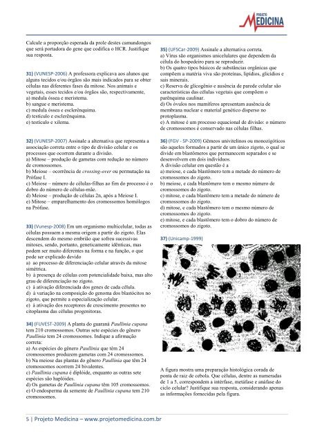 biologia_citologia_divisao_celular_mitose_meiose_gabarito