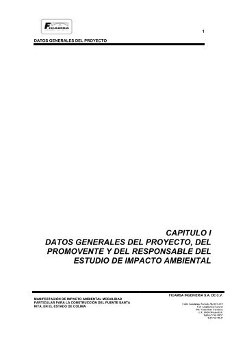 Construcción del Puente Santa Rita en el ... - sinat - Semarnat
