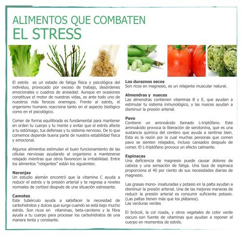 Sistema nervioso alimentos que comer el para