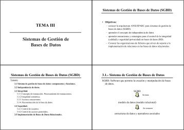 Sistemas de Gestión de Bases de Datos (SGBD)