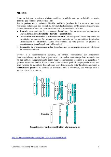 La meiosis - IES San Isidro