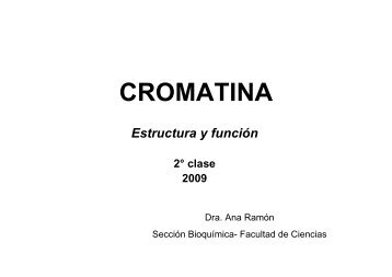 cromatina - Biología Molecular = Genética Molecular II - Facultad de ...