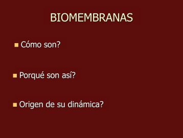 Clase 11 Biomembranas 2010