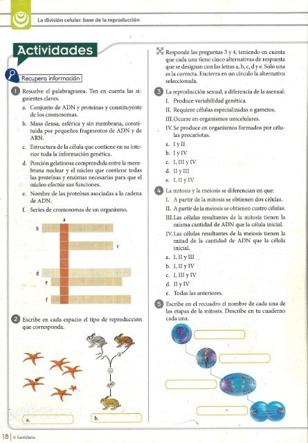 taller reproduccion celular y tipos de reproduccion