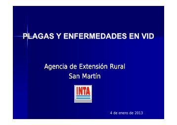 Plagas y enfermedades en vid1.pdf - INTA