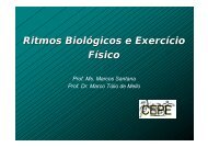 Ritmos Biológicos e Exercício Físico - FEA