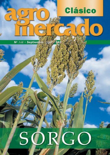 148_sorgo_08.pdf