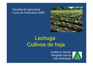 Lechuga 1 Guillermo.pdf - Facultad de Agronomía