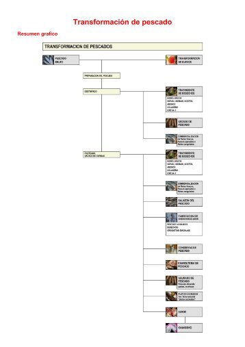 Transformación de pescado - LEMM