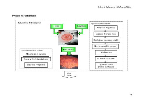 Cuadernos de Investigación N°5 - Fundacion Sol