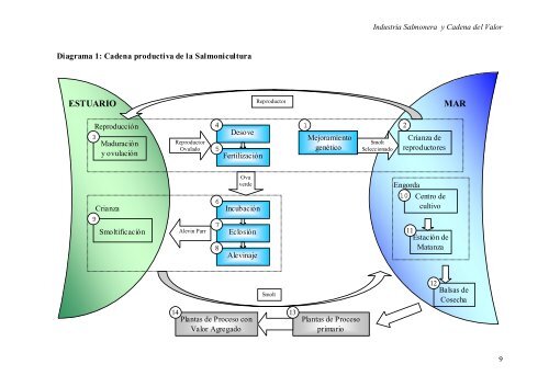 Cuadernos de Investigación N°5 - Fundacion Sol