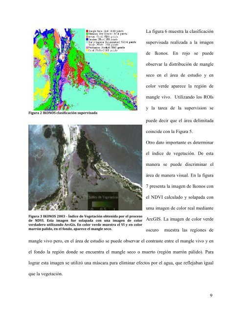 Decaimiento del manglar desde el 1993 al 2010 en el área de Los ...