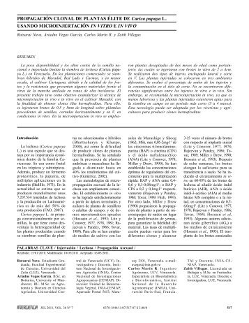 ProPaGacIóN cloNal de PlaNtas ÉlIte de Carica ... - Interciencia