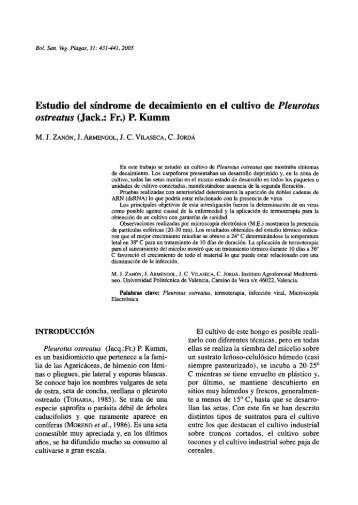 Estudio del síndrome de decaimiento en el cultivo de Pleurotus ...