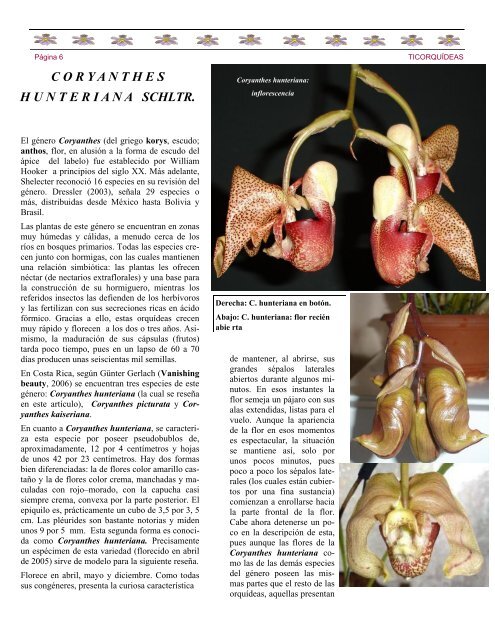 Boletín Mensual, Octubre 2007 - Asociación Costarricense de ...