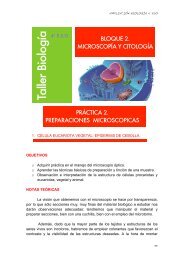 4_ESO_AMPL-Practicas_files/CITOLOGÍA 2 ... - Portada