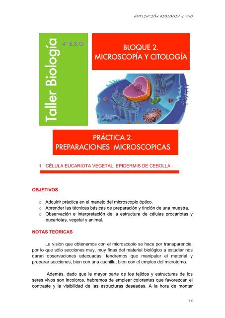 Eucariotas celulas tincion de