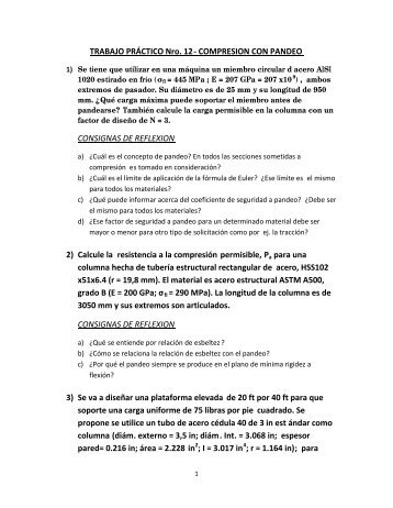 TRABAJO PRÁCTICO Nro. 12- COMPRESION CON PANDEO ...