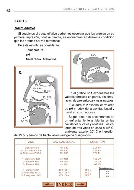 cursocata